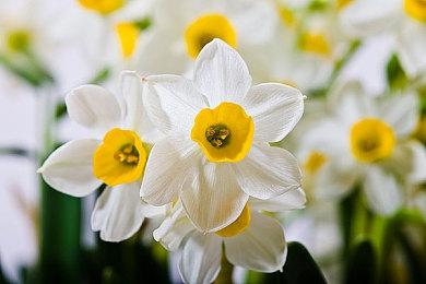 分析师预测PS6至少600美元 索尼用PS5 Pro试水